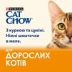 Упаковка вологого корму для дорослих котів Purina Cat Chow Adult з куркою та цукіні 85 г x 26 шт - 5