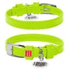 Нашийник для собак шкіряний WAUDOG Glamour з QR паспортом, без прикрас, Ш 12 мм, Дл 21-29 см, салатовий - 1