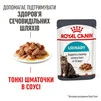 ПАК.Royal Canin Urinary Care Консервований Корм Для Котів Підтримання Здоров'я Сечовидільної Системи 12шт по 85г - 14