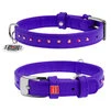 Ошейник для собак кожаный WAUDOG Glamour с QR паспортом, с клеевыми стразами, Ш 12 мм, Дл 21-29 см, фиолетовый - 1