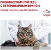 Сухий корм для кошенят Royal Canin Gastrointestinal Kitten 400 г - 6