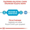 ПАК.Влажный корм для новорожденных собак Royal Canin Starter Mouse 6 шт по 195 г - 6