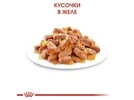 ПАК.Вологий корм Royal Canin KITTEN INSTINCTIVE IN JELLY (Желе) для кошенят 12 шт по 85 г - 5