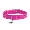 Нашийник для собак шкіряний WAUDOG Glamour з QR паспортом, з клейовими стразами, Ш 25 мм, Дл 38-49 см, рожевий - 2