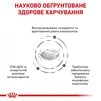 Лечебный сухой корм для собак Royal Canin Gastro Intestinal Low Fat Canine 12 кг - 4
