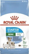 Сухий корм Royal Canin Mini Starter для собак дрібних порід у період вагітності та лактації 1 кг (НФ-00000280) - 1