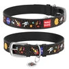 Нашийник для собак шкіряний WAUDOG Design з QR паспортом, малюнок "NASA", Ш 25 мм, Дл 38-49 см, чорний - 1