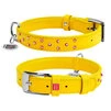 Нашийник для собак шкіряний WAUDOG Glamour з QR паспортом, з клейовими стразами, Ш 25 мм, Дл 38-49 см, жовтий - 1