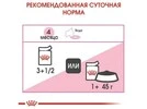 ПАК.Влажный корм Royal Canin KITTEN INSTINCTIVE IN JELLY (Желе) для котят 12 шт по 85 г - 6