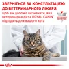 ПАК.Лікувальний корм Royal Canin Diabetic Feline Pouches 12шт по 85 г - 9