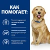 Сухой корм Hill's Prescription Diet j/d Joint Care для собак с курицей 1,5 кг - 4