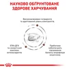 Сухий корм для дорослих котів Royal Canin Gastro Intestinal Cat 2 кг - 4