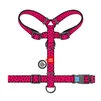 Анатомічний H-подібний нашийник для собак WAUDOG Nylon з QR-паспортом, малюнок "Арбуз", пластиковий фастекс, S, Ш 15 мм, A 30-40, B 30-50 - 3