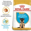 Сухой полнорационный корм для щенков Royal Canin German Shepherd Puppy собак породы немецкая овчарка в возрасте до 15 месяцев 3 кг - 2