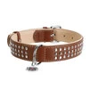 Нашийник для собак шкіряний WAUDOG Soft з QR паспортом, металеві прикраси, Ш 35 мм, Дл 46-61 см - 2