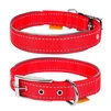 Нашийник "Dog Extremе" нейлоновий подвійний зі світловідбиваючою вставкою (ширина 20мм, довжина 30-40см), червоний - 1