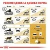 Сухой корм для котов британская короткошерстная Royal Canin British Shorthair Adult от 12 месяцев 2 кг - 3