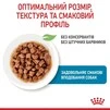 ПАК.Влажный корм для щенков Royal Canin Xsmall Puppy 12 шт по 85 г - 5