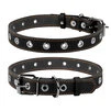 Ошейник "CoLLaR" безразмерный (ширина 25мм, длина 60см), черный - 1
