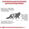 Сухий корм Royal Canin Urinary S/O Feline для дорослих котів з сечокам'яною хворобою 3.5 кг - 7