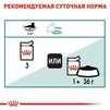 ПАК.Вологий корм Royal Canin INSTINCTIVE+7 для старіючих котів (Соус) 12шт по 85 г - 4