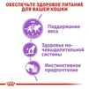 ПАК.Влажный корм Royal Canin STERILIZED LOAF (Паштет) для взрослых стерилизованных кошек 12шт по 85 г - 5