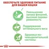 ПАК.Влажный корм Royal Canin DIGEST SENSITIVE для взрослых кошек с чувствительным пищеварением 12шт по 85 г - 3