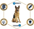 Сухий корм для дорослих німецьких вівчарок Advance Dog Maxi German Shepherd 12 кг (8410650171579) - 2