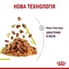 ПАК.Вологий корм Royal Canin SENSORY SMELL JELLY (Желе) для дорослих котів вибагливих у харчуванні 12 шт по 85 г - 5