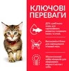 Сухой корм для котят и кошек в период беременности и кормления грудью Hill's Science Plan Kitten с курицей 1,5 кг - 3