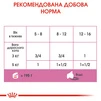 ПАК. Вологий корм для новонароджених кошенят Royal Canin Mother &amp;amp; Babycat Cans 6 шт по 195 г - 7