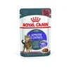 ПАК. Влажный корм Royal Canin APPETITE CONTR CIG (Соус) для взрослых кошек, контроль выпрашивания корма 12 шт по  85 г - 2