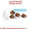 Сухой корм Royal Canin Mother and Babycat для котят до 4 месяцев 2 кг (НФ-00000218) - 2
