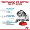 Сухой корм Royal Canin MEDIUM PUPPY для щенков Средних пород 4 кг - 3