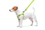 Шлея для собак водостойкая WAUDOG Waterproof c QR-паспортом, металлическая пряжка-фастекс, Ш 15 мм, Дл 40-55 см, салатовый - 5