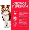 Сухий корм для зрілих собак від 7 років Hill&rsquo;s Science Plan Mature Adult 7+ Medium Breed з ягням та рисом 2.5 кг - 2
