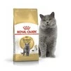 Сухой корм для котов британская короткошерстная Royal Canin British Shorthair Adult от 12 месяцев 2 кг - 1