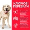 Сухий корм для дорослих собак великих порід Hill&rsquo;s Science Plan Adult Light Large Breed з куркою 14 кг - 2