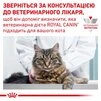Сухий корм Royal Canin Urinary S/O Feline для дорослих котів з сечокам'яною хворобою 1.5 кг - 8