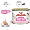 ПАК. Вологий корм для новонароджених кошенят Royal Canin Mother &amp; Babycat Cans 6 шт по 195 г - 3