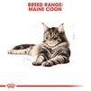 Сухой корм Royal Canin Maine Coon Adult для котов породы мейн-кун от 15 месяцев 10 кг - 3