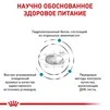 Сухой корм Royal Canin Hypoallergenic Small Dog &ndash; для собак мелких пород при аллергиях, 1 кг - 3