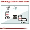 ПАК.Влажный корм Royal Canin HAIRBALL CARE для взрослых кошек, профилактика образования волосяных комочков12шт по 85 г - 6