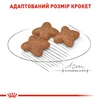 Сухой корм для собак Royal Canin Mini Adult мелких пород старше 10 месяцев 8 кг - 5