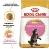 Сухий корм Royal Canin MAINECOON KITTEN для кошенят породи Мейн Кун 400 г - 2
