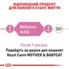 Молоко для новонароджених кошенят Royal Canin Babycat Milk 300 г - 5