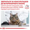 Royal Canin Gastro Intestinal Moderate Calorie Cat Сухой Корм Для Кошек При Расстройствах Пищеварение 2 кг - 6