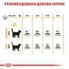 Сухий корм для котів Royal Canin Hair &amp; Skin Care 2 кг - 7