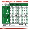 Сухой корм для собак Royal Canin Mini Adult мелких пород старше 10 месяцев 8 кг - 6