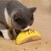 Масажна щітка для котів з кріпленням + котяча м'ята - жовта - 8
